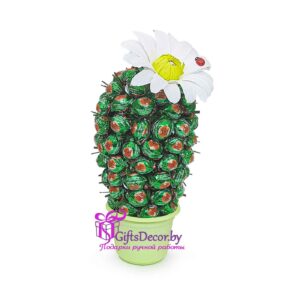Кактус из конфет